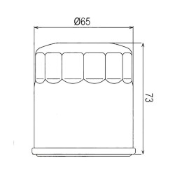 Filtre à Huile Hiflofiltro HF 303C