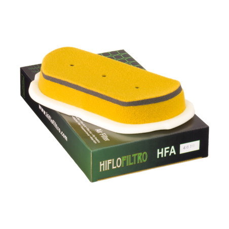 Filtre à Air Hiflofiltro HFA 4610