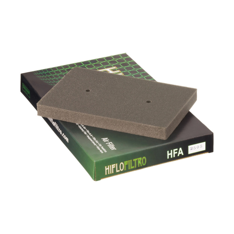 Filtre à Air Hiflofiltro HFA 2505 Filtre à Air Hiflofiltro HFA 2505